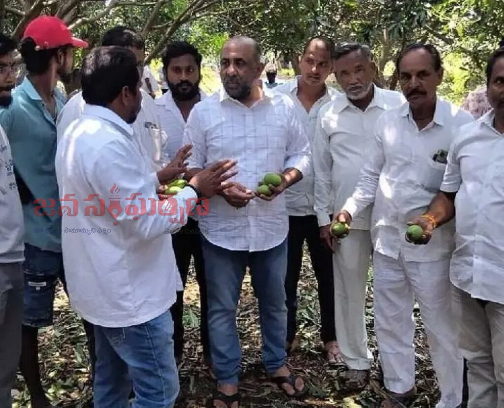 పంటలను పరిశీలించిన మాజీ ఎమ్మెల్యే షకీల్