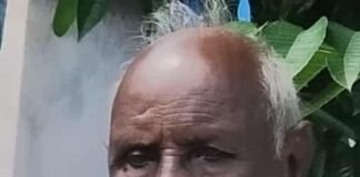 ప్రజా సేవకు ప్రతిరూపం – సాహిత్య సౌరభానికి చిరు