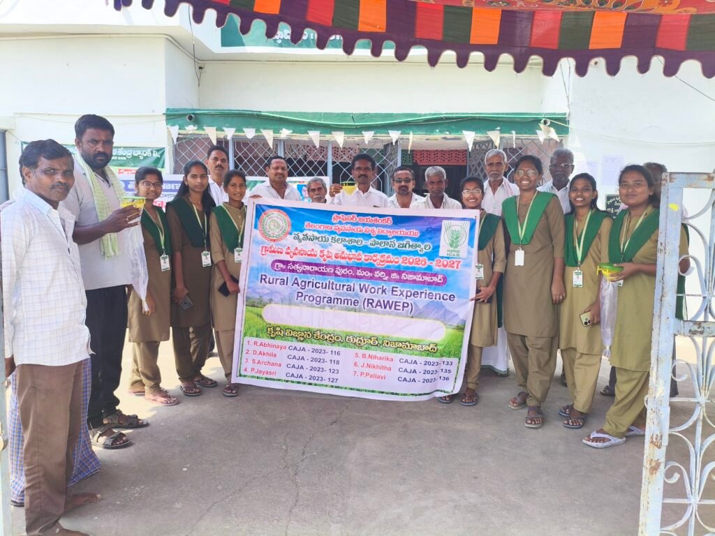 ఉమ్మడి మండల కేంద్రాలలో వరి ధాన్యాన్ని పరిశీలిస్తున్న మార్కెట్ కమిటీ చైర్మన్ సురేష్ బాబా